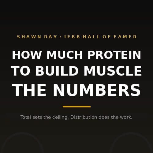 How Much Protein to Build Muscle: The Numbers That Actually Matter