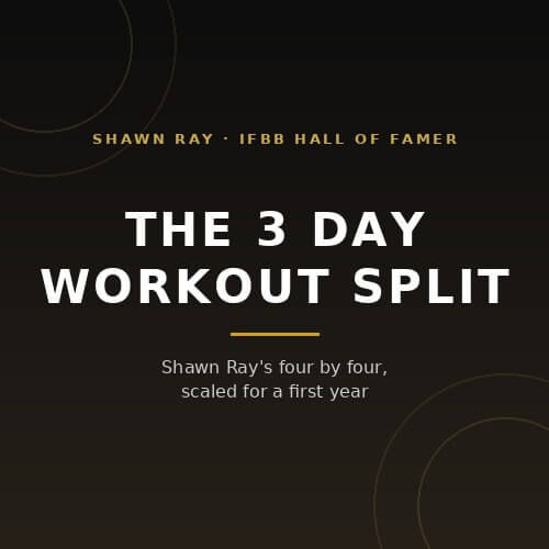 3 day workout split for a first year of lifting: four exercises, four sets, from IFBB Hall of Famer Shawn Ray on BuildWithPros
