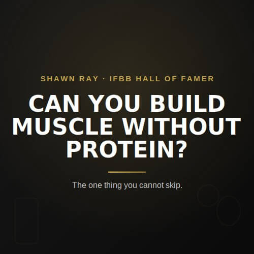 Can You Build Muscle Without Protein? The Straight Answer